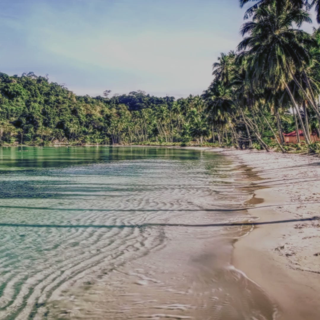 Organic DHA FREE Self Tanner For A Sun-Kissed Glow