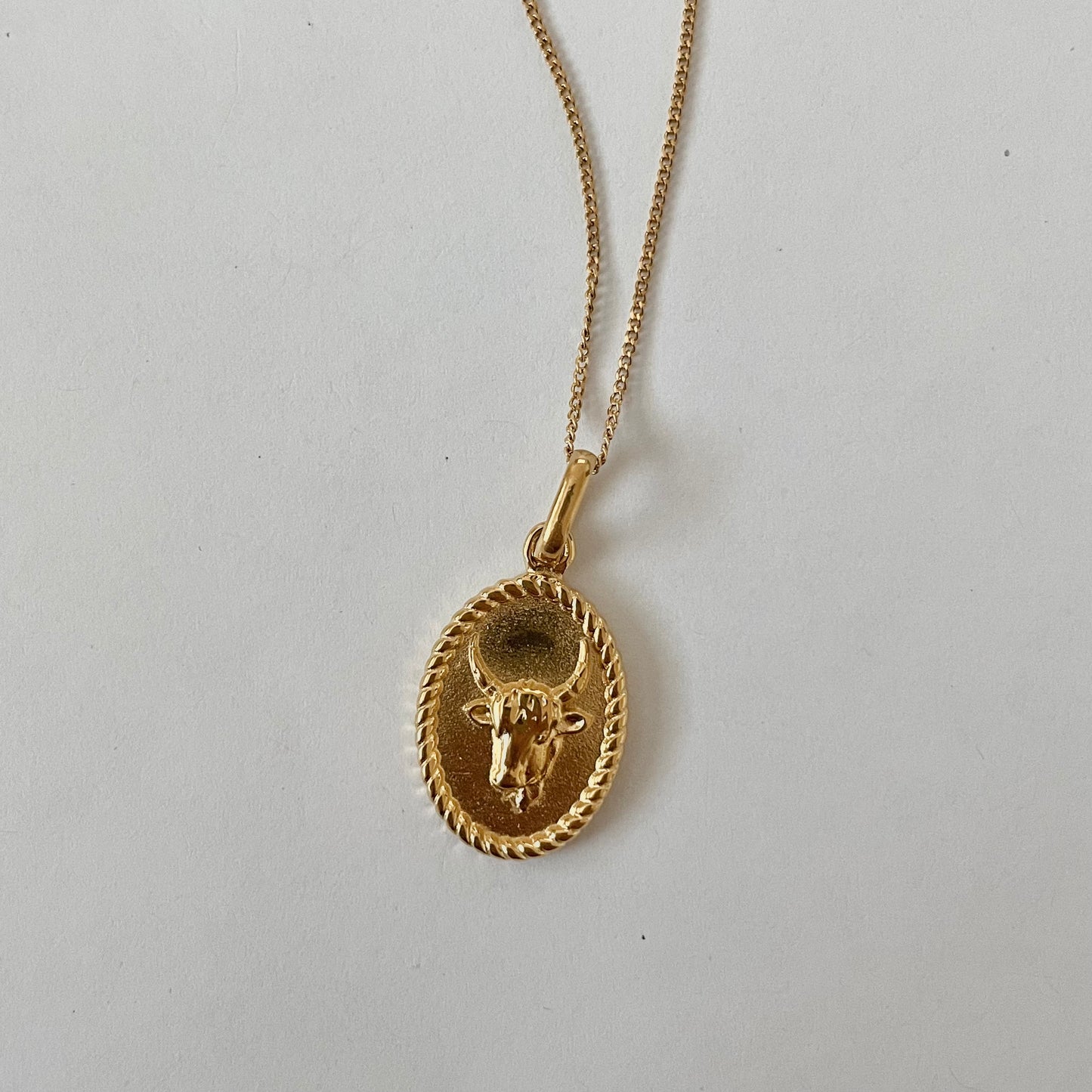 Zodiac 2.0 Necklace