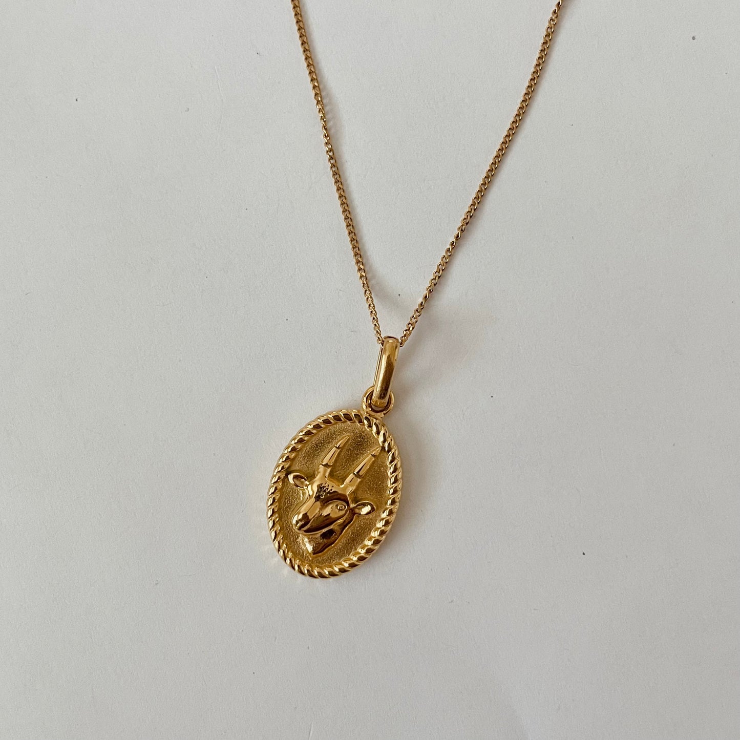 Zodiac 2.0 Necklace